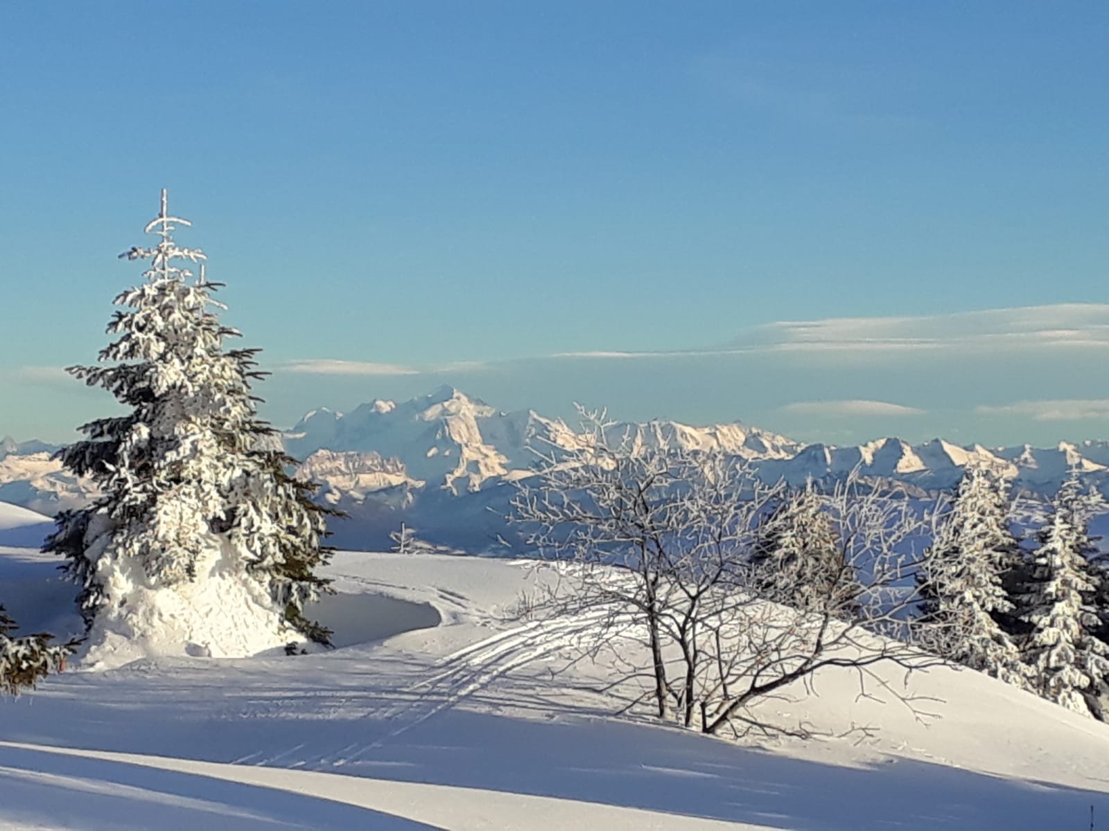 Vue du Pays de Gex avec le massif du Jura